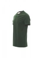 PAYPER T-Shirt SUNRISE grün