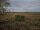 Deerhunter Faltbare Wildwanne